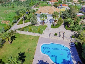 aerial