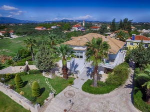 aerial