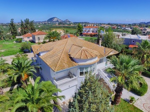 aerial
