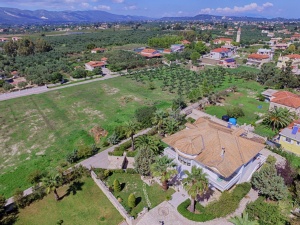 aerial